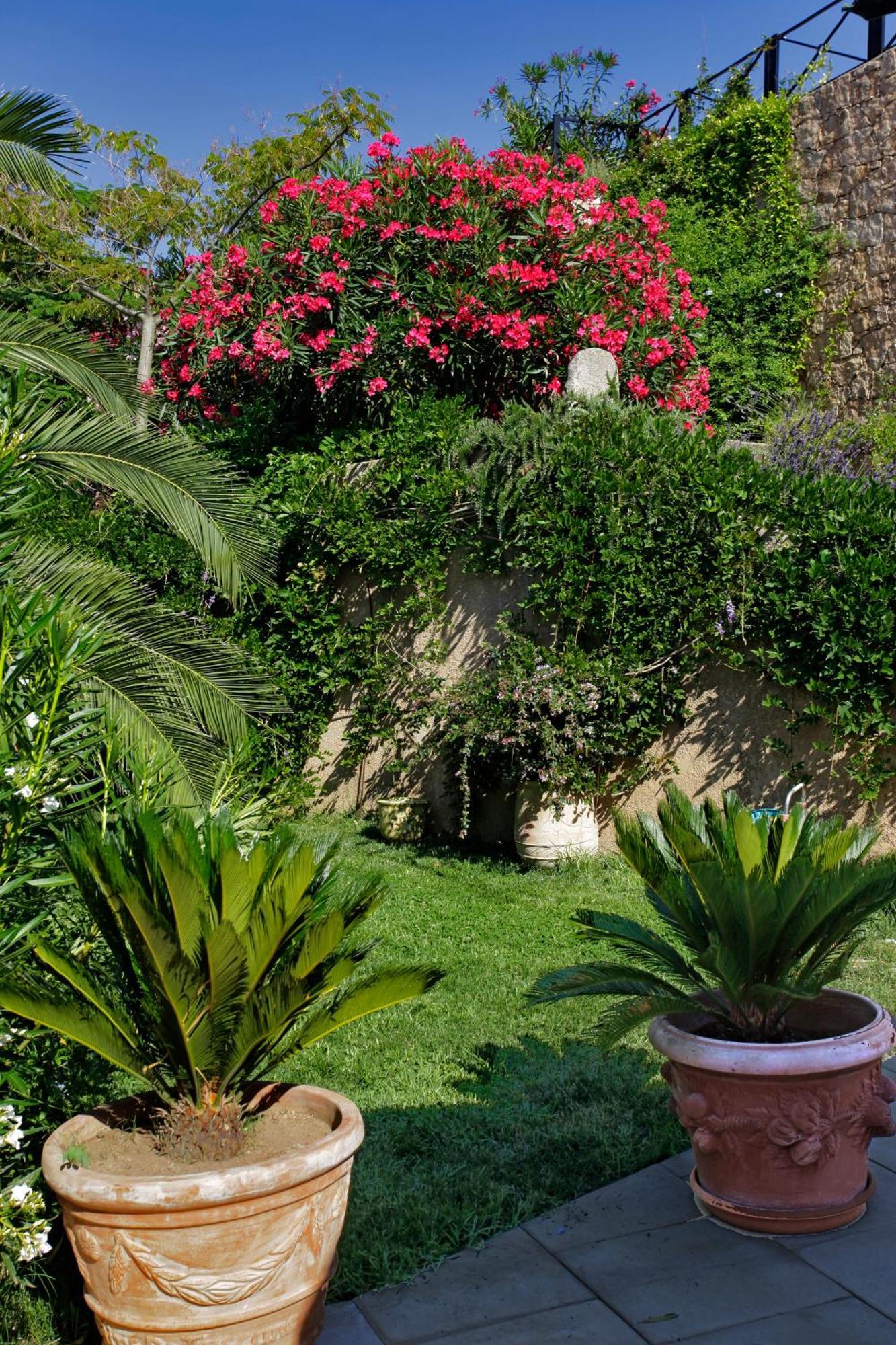 Best Western Plus San Damianu Sartène Εξωτερικό φωτογραφία